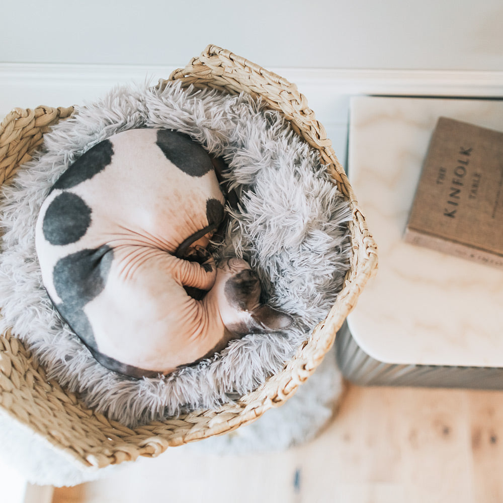 Arbre à chat en bois naturel avec panier tressé et griffoir – Modèle Uni