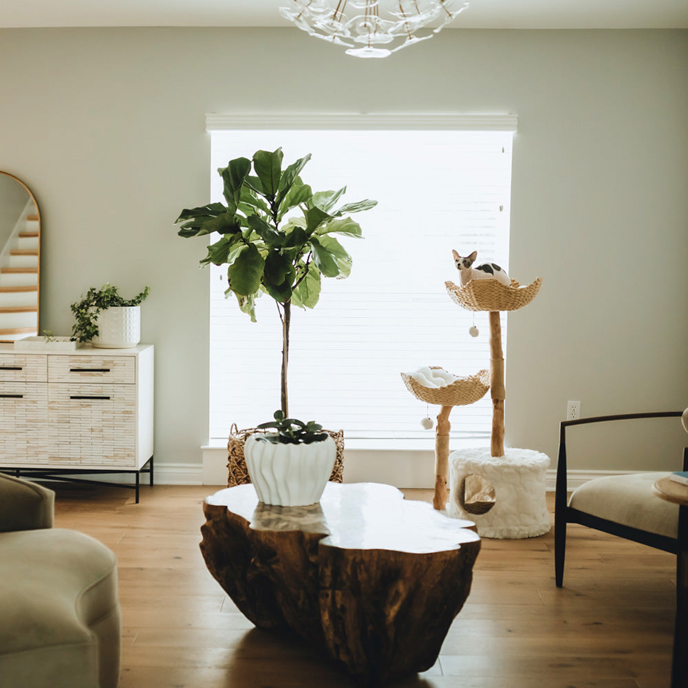 Arbre à chat en bois naturel avec paniers tressés et niche – Modèle Cento