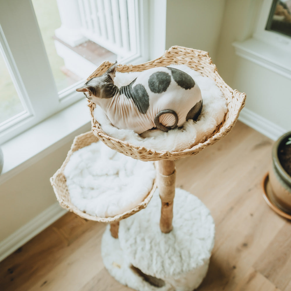 Arbre à chat en bois naturel avec paniers tressés et niche – Modèle Cento