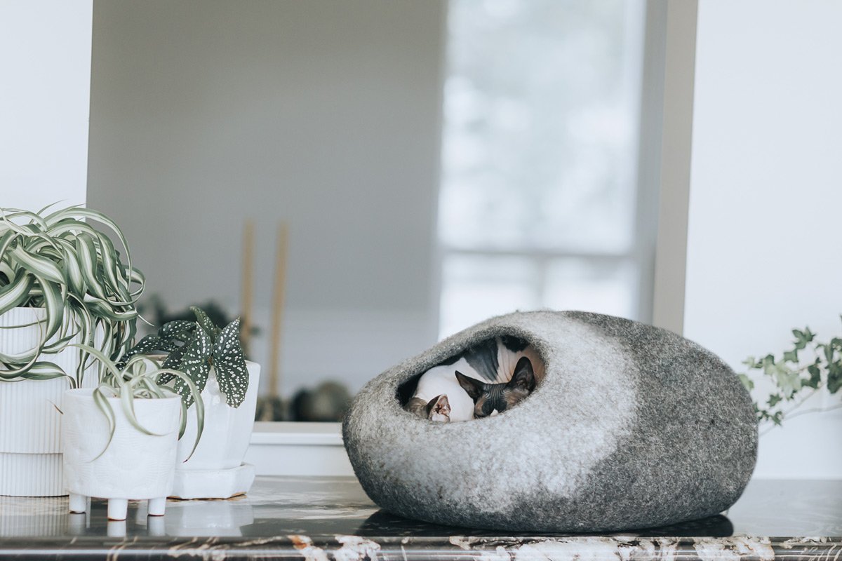 Niche pour chat en feutrine de laine