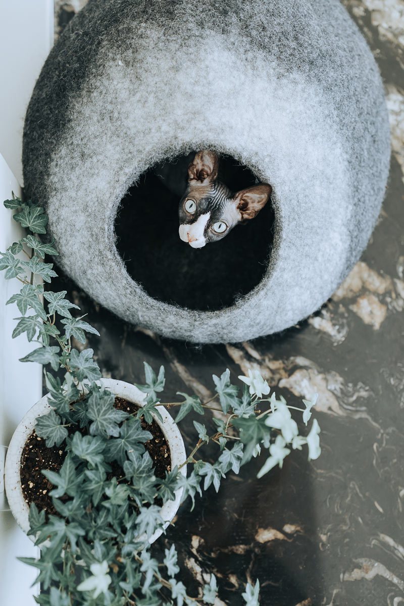 Niche pour chat en feutrine de laine